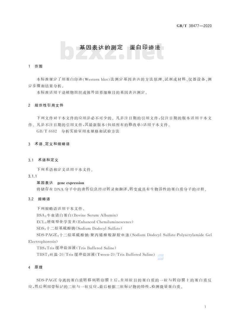 GB/T 38477-2020 基因表达的测定 蛋白印迹法