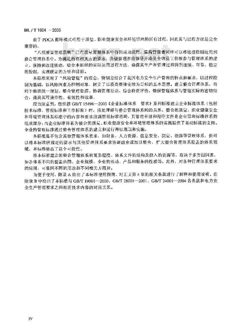 DL/T 1004-2006 质量、职业健康安全和环境整合管理体系 规范及使用指南