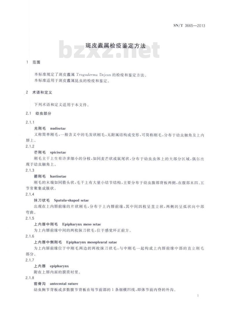 SN/T 3665-2013 斑皮蠹属检疫鉴定方法