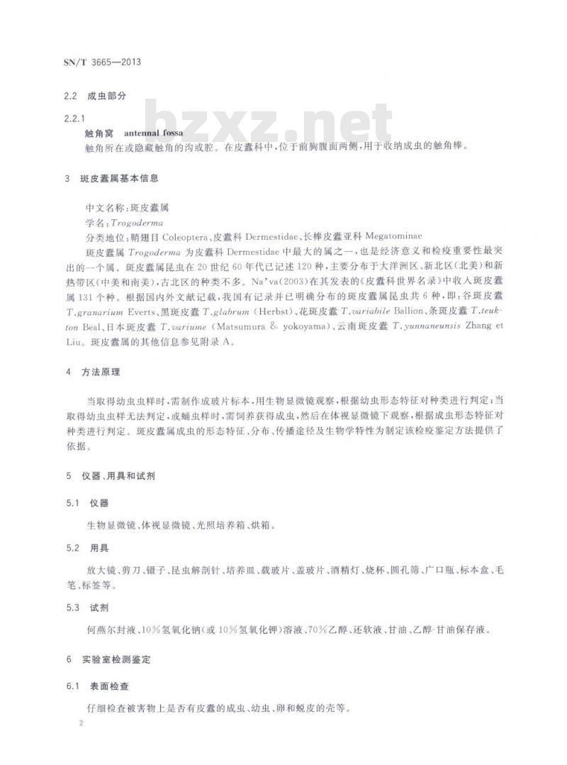 SN/T 3665-2013 斑皮蠹属检疫鉴定方法