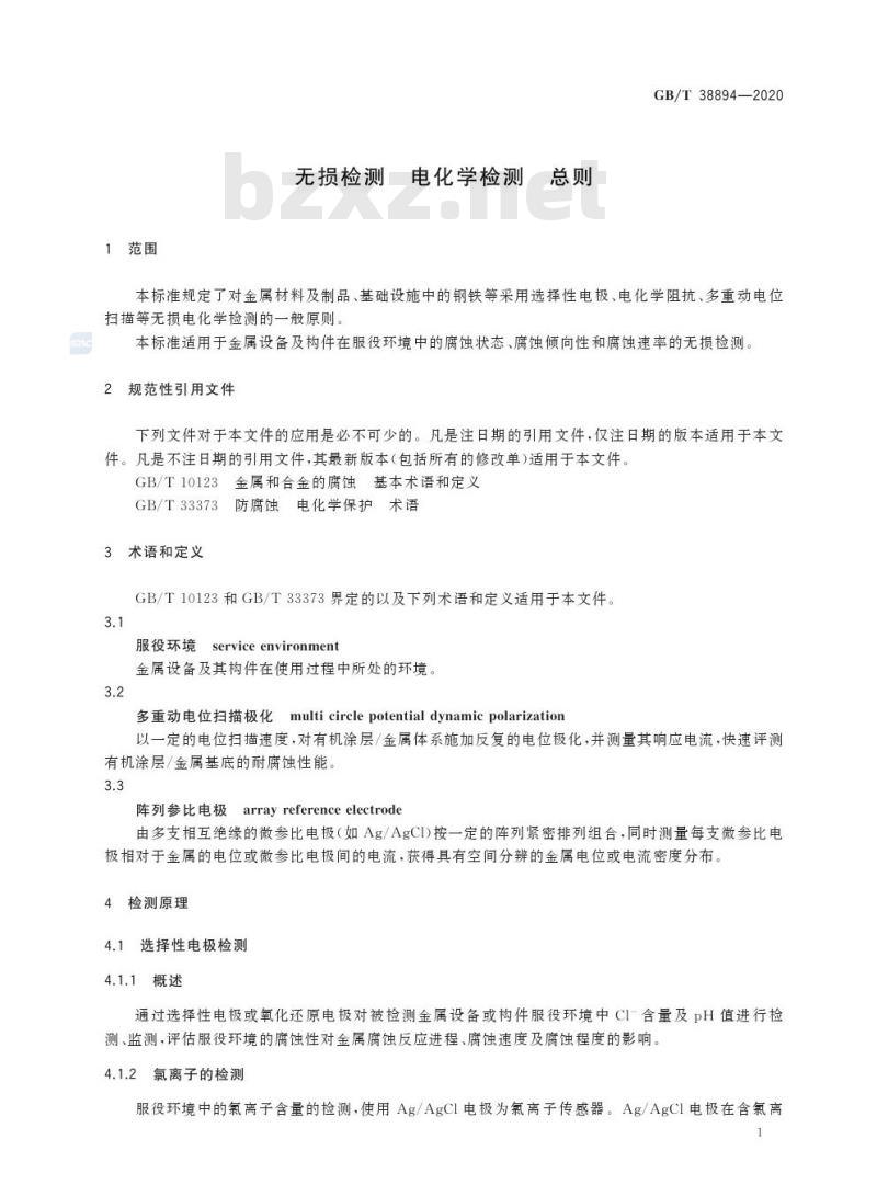 GB/T 38894-2020 无损检测 电化学检测 总则