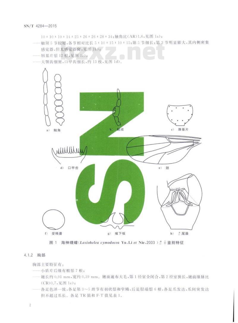 SN/T 4284-2015 海神蠛蠓鉴定方法