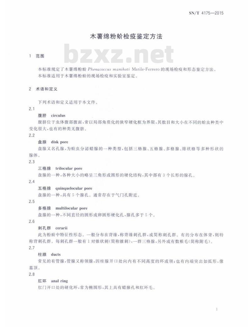 SN/T 4175-2015 木薯绵粉蚧检疫鉴定方法