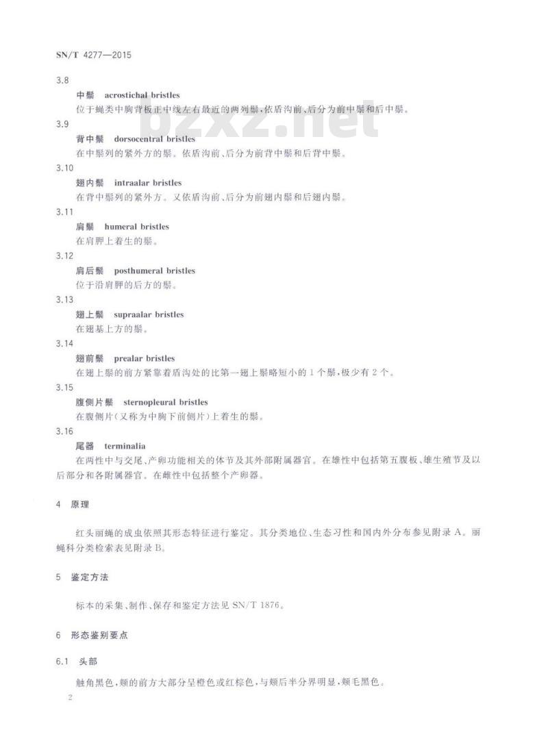SN/T 4277-2015 国境口岸红头丽蝇形态鉴定方法