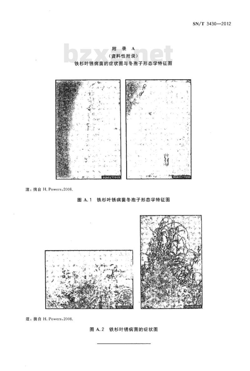 SN/T 3430-2012 铁杉叶锈病菌检疫鉴定方法