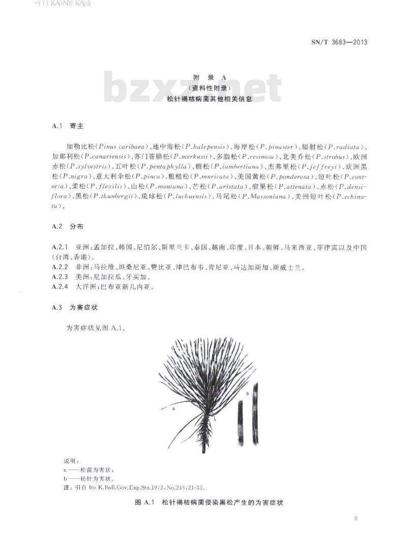SN/T 3683-2013 松针褐枯病菌检疫鉴定方法