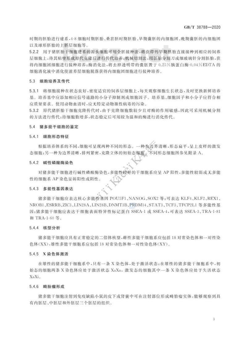 GB/T 38788-2020 猪多能干细胞建系技术规范