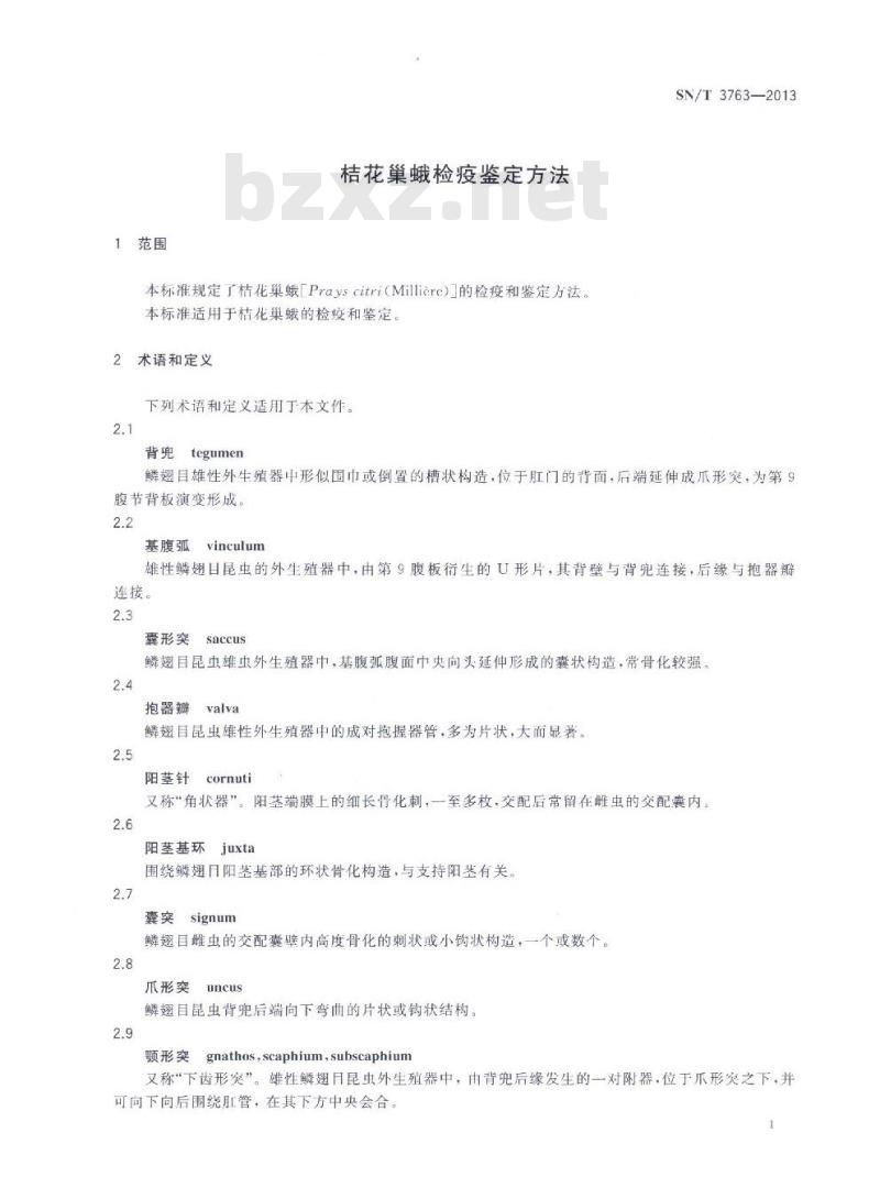 SN/T 3763-2013 桔花巢蛾检疫鉴定方法