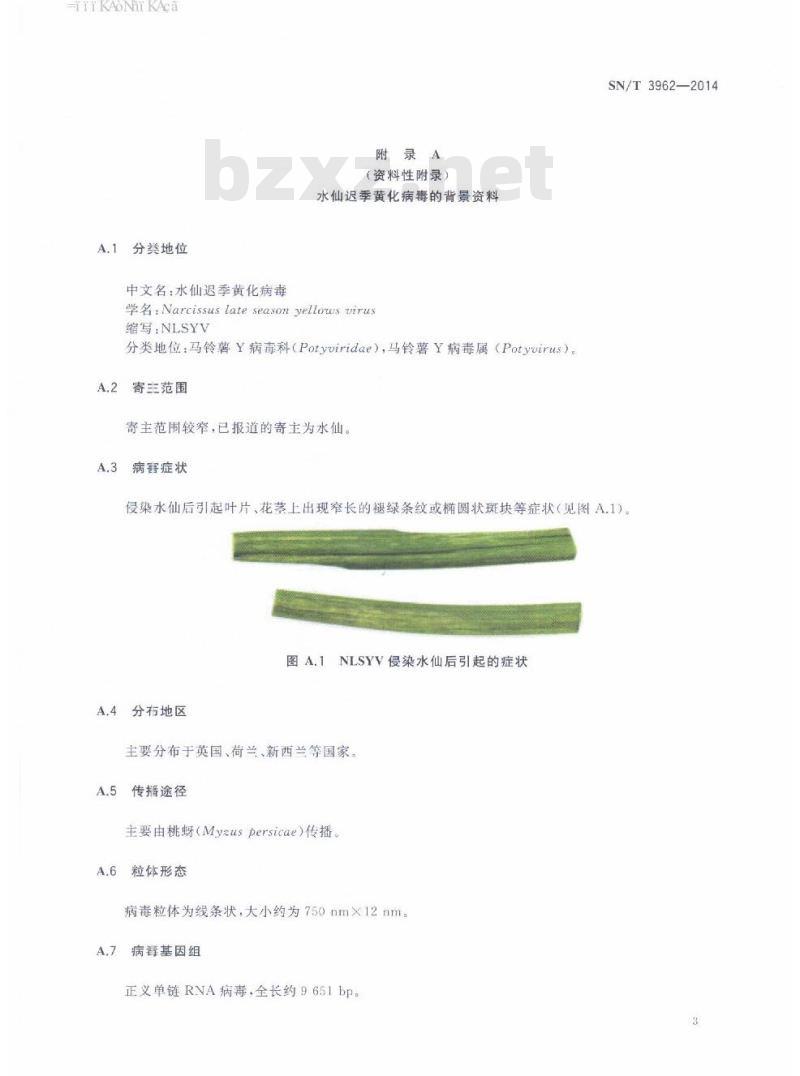 SN/T 3962-2014 水仙迟季黄化病毒的检疫鉴定方法