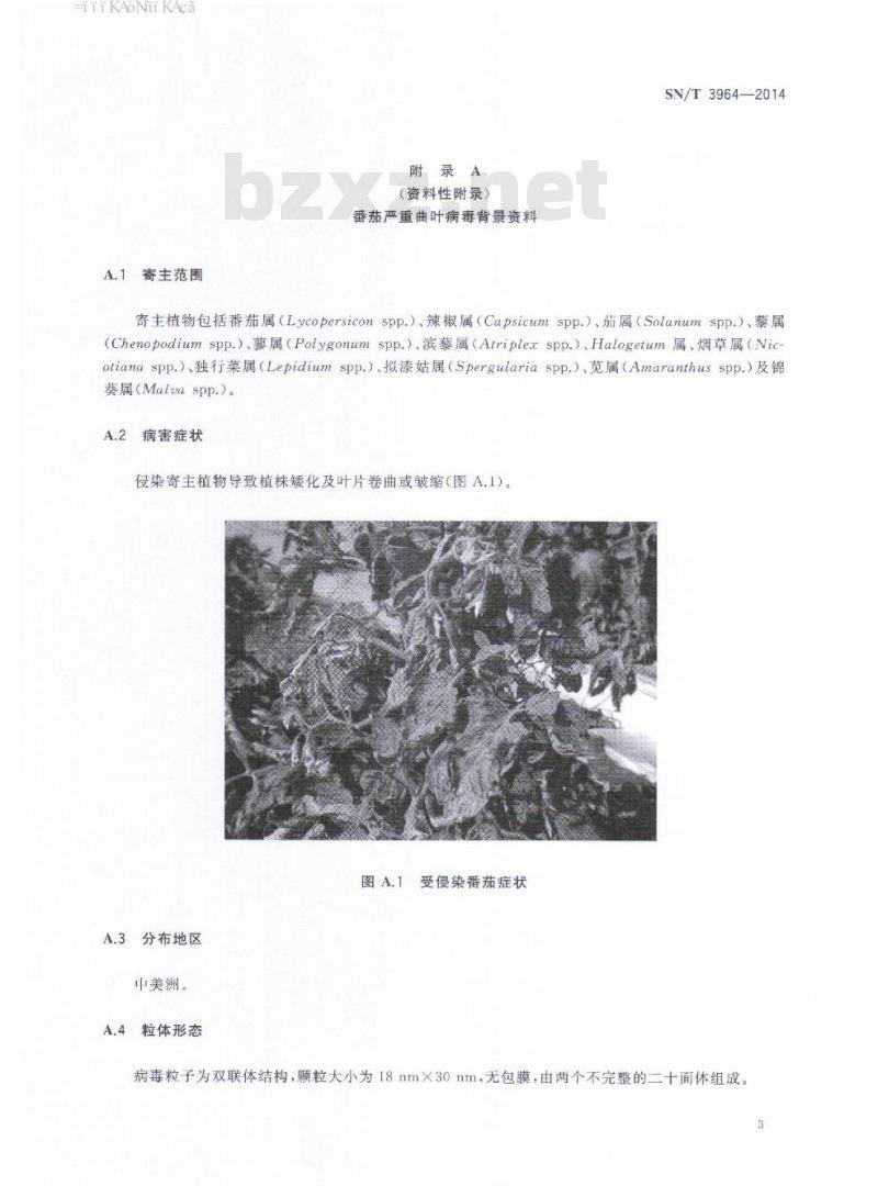SN/T 3964-2014 番茄严重曲叶病毒检疫鉴定方法