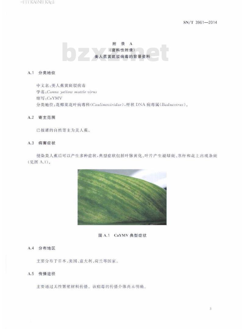 SN/T 3961-2014 美人蕉黄斑驳病毒的检疫鉴定方法