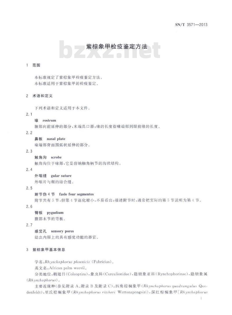 SN/T 3571-2013 紫棕象甲检疫鉴定方法
