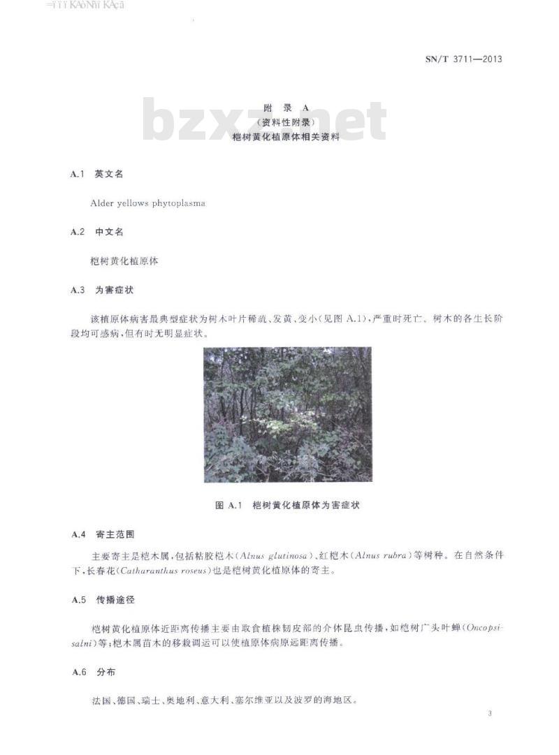SN/T 3711-2013 桤树黄化植原体检疫鉴定方法