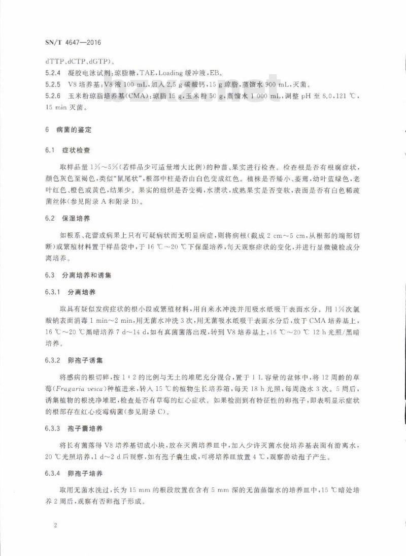 SN/T 4647-2016 草莓疫霉红心病菌检疫鉴定方法