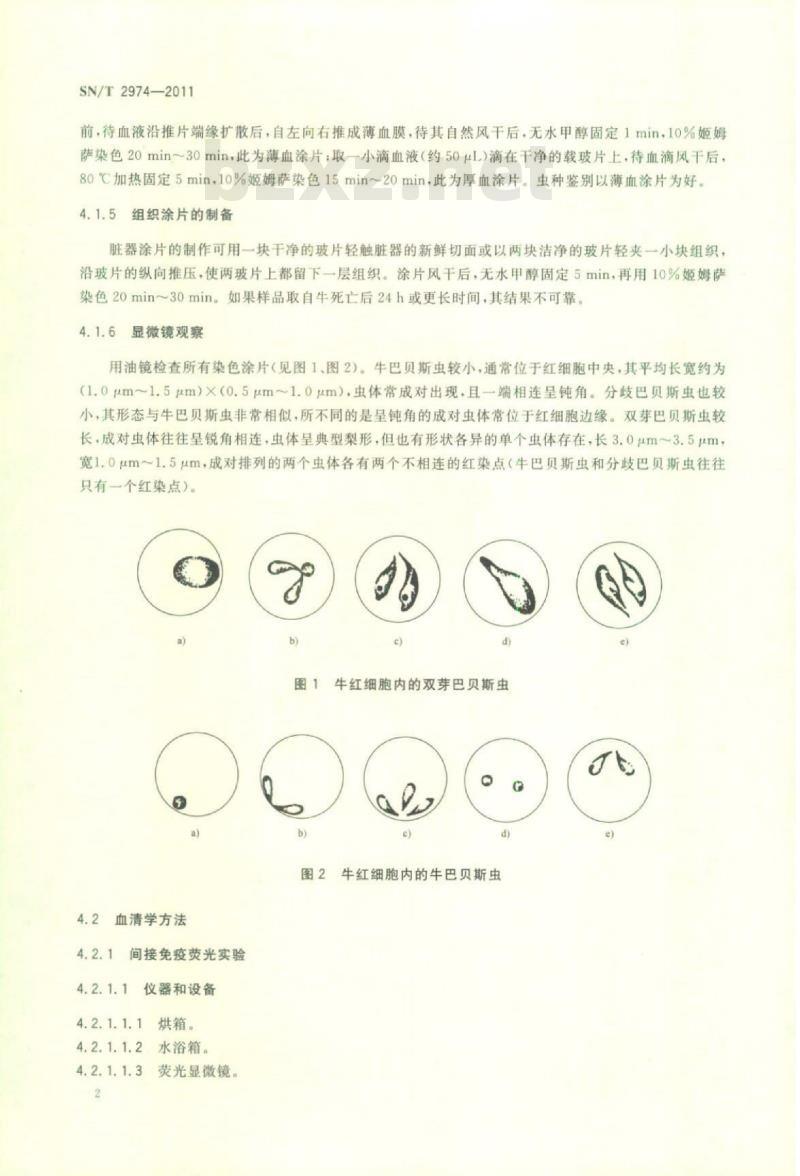 SN/T 2974-2011 牛巴贝斯虫病检疫技术规范