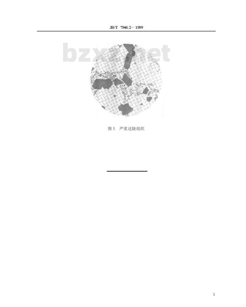 JB/T 7946.2-1999 铸造铝硅合金过烧