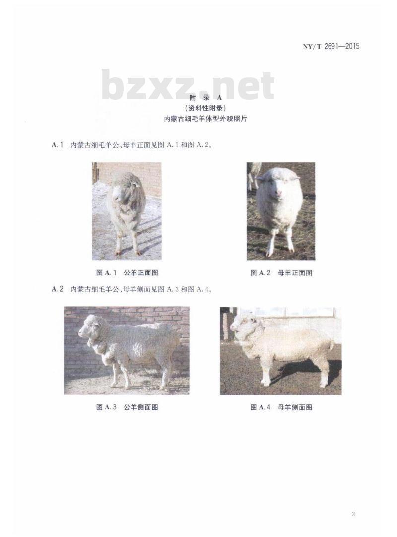 NY/T 2691-2015 内蒙古细毛羊