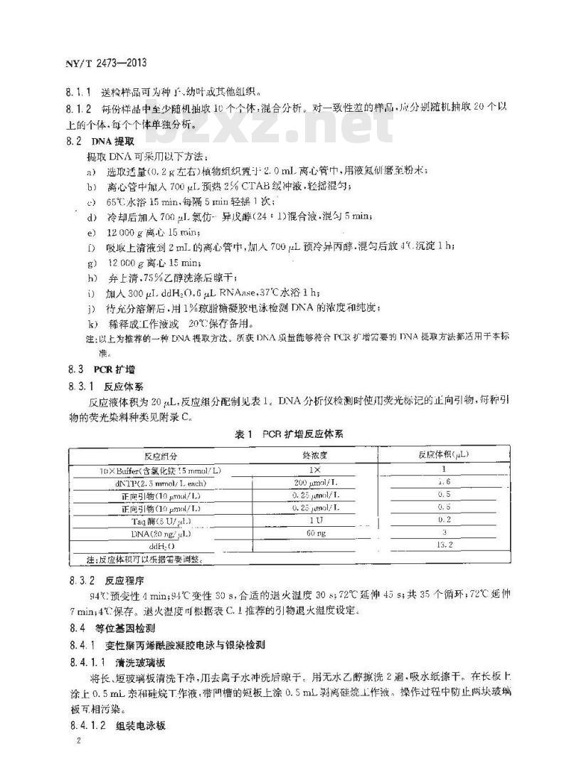 NY/T 2473-2013 结球甘蓝品种鉴定技术规程 SSR分子标记法