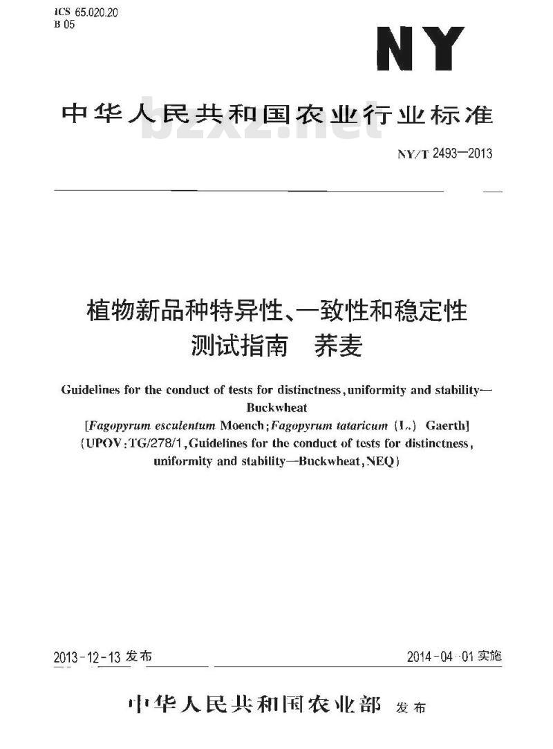 NY/T 2493-2013 植物新品种特异性、一致性和稳定性测试指南 荞麦