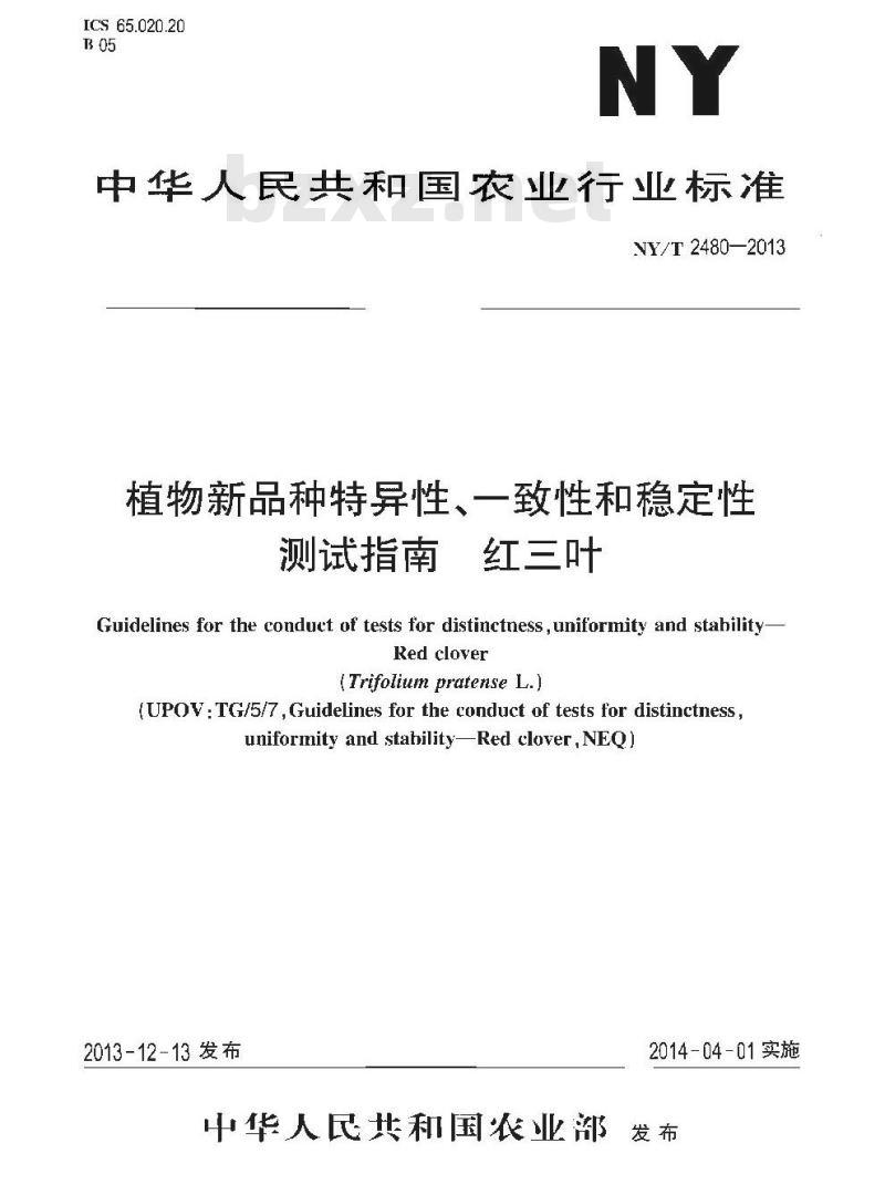 NY/T 2480-2013 植物新品种特异性、一致性和稳定性测试指南 红三叶