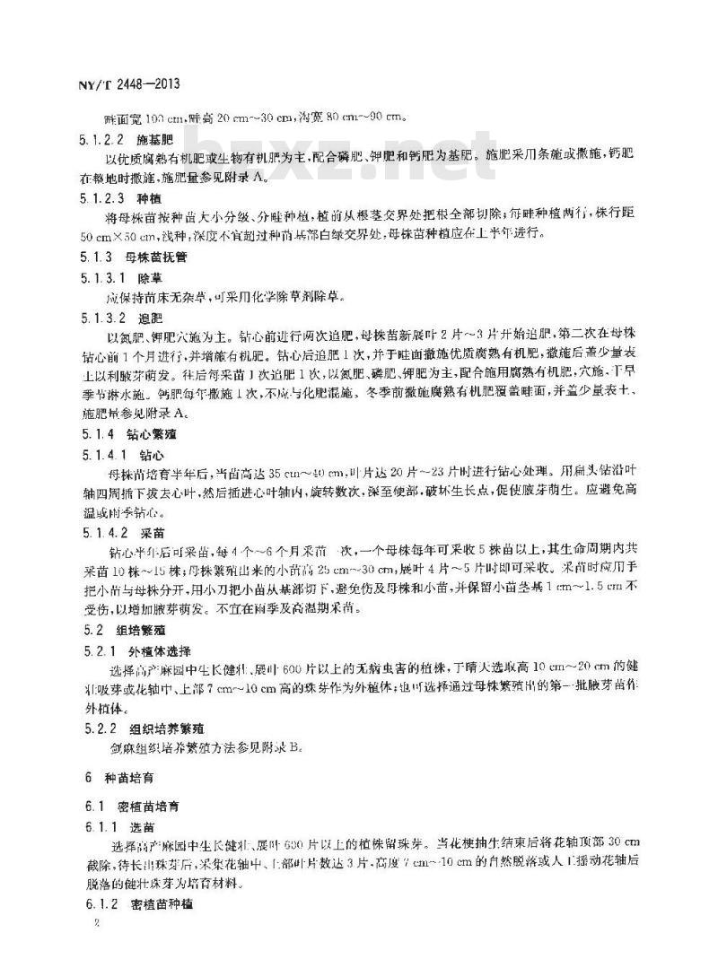 NY/T 2448-2013 剑麻种苗繁育技术规程