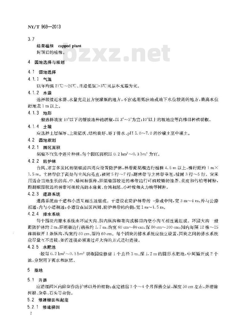 NY/T 969-2013 胡椒栽培技术规程