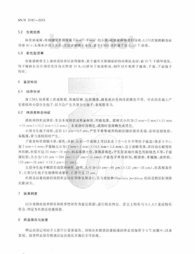 SN/T 3747-2013 杜鹃花枯萎病菌检疫鉴定方法