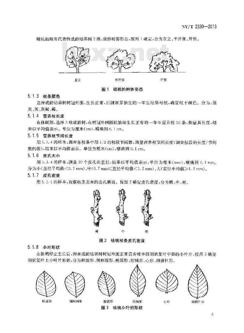 NY/T 2330-2013 农作物种质资源鉴定评价技术规范  核桃