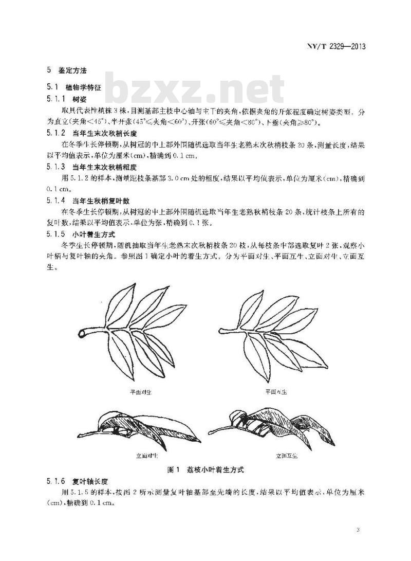 NY/T 2329-2013 农作物种质资源鉴定评价技术规范 荔枝