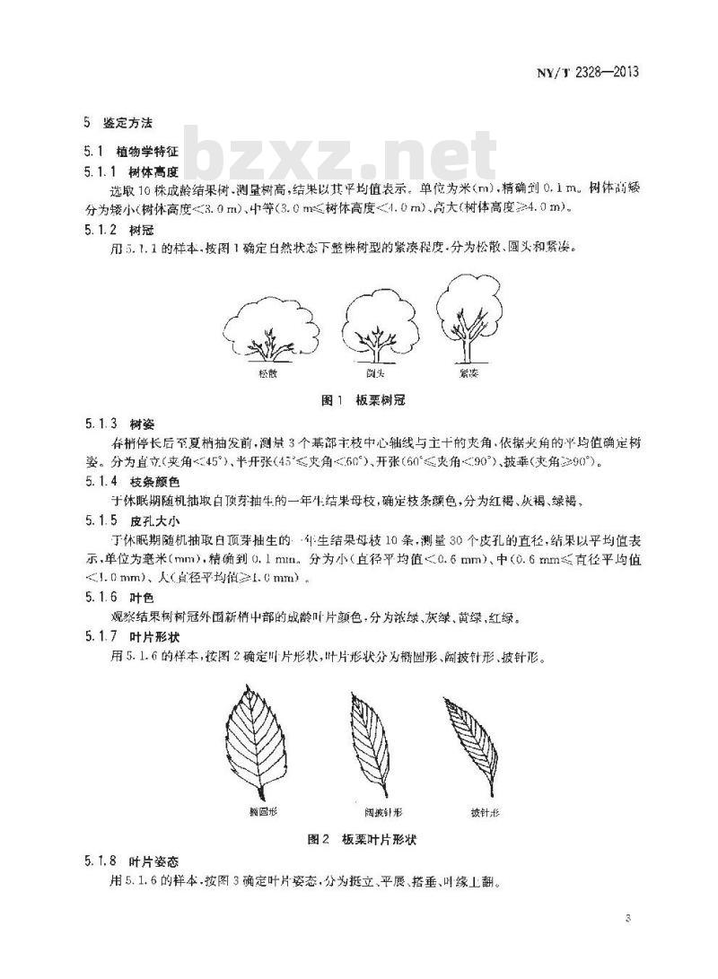 NY/T 2328-2013 农作物种质资源鉴定评价技术规范 板栗