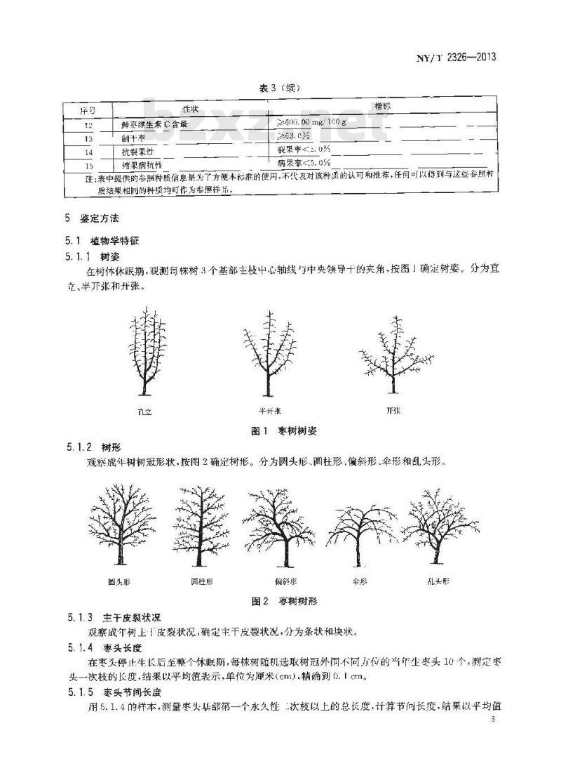 NY/T 2326-2013 农作物种质资源鉴定评价技术规范 枣