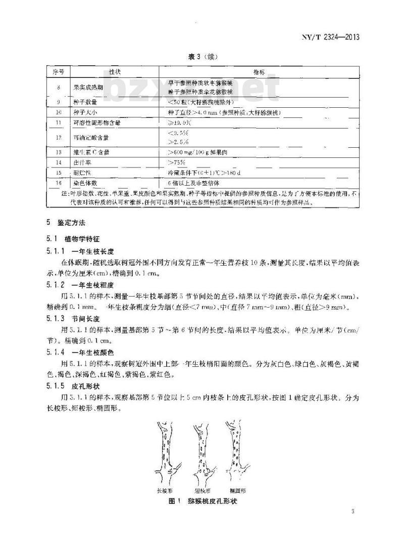 NY/T 2324-2013 农作物种质资源鉴定评价技术规范 猕猴桃
