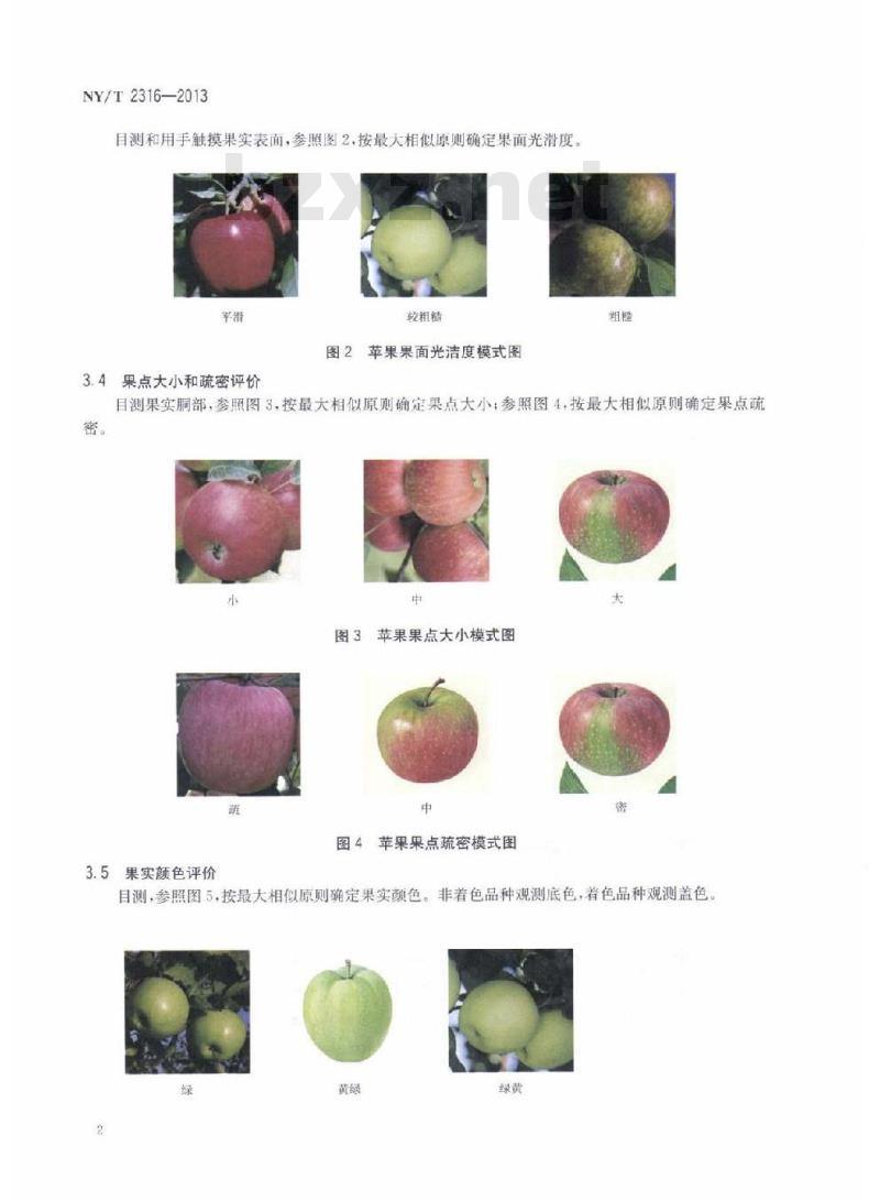 NY/T 2316-2013 苹果品质指标评价规范