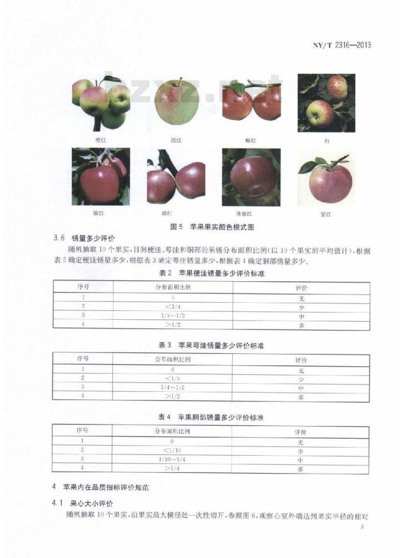 NY/T 2316-2013 苹果品质指标评价规范