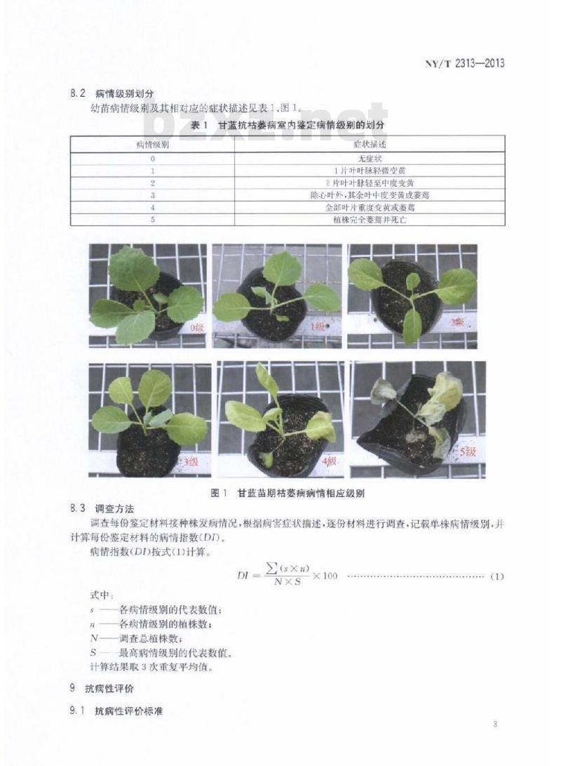 NY/T 2313-2013 甘蓝抗枯萎病鉴定技术规程