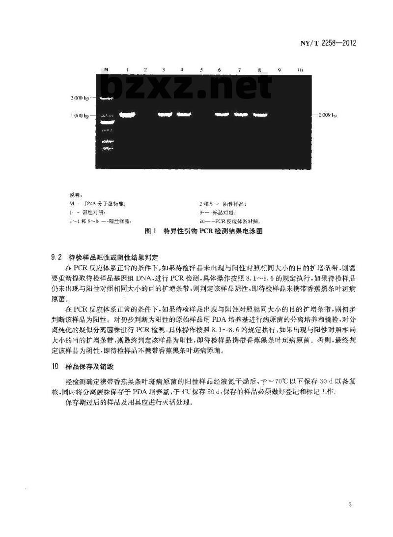 NY/T 2258-2012 香蕉黑条叶斑病原菌分子检测技术规范