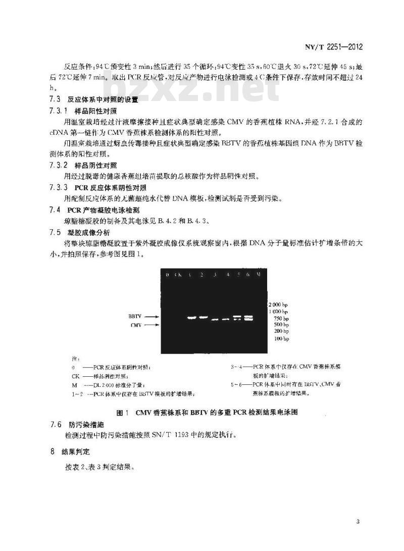 NY/T 2251-2012 香蕉花叶心腐病和束顶病病原分子检测技术规范