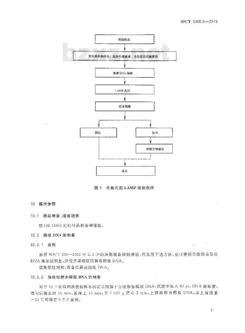SN/T 3306.5-2013 国境口岸环介导恒温扩增(LAMP)检测方法 第5部分:布鲁氏菌