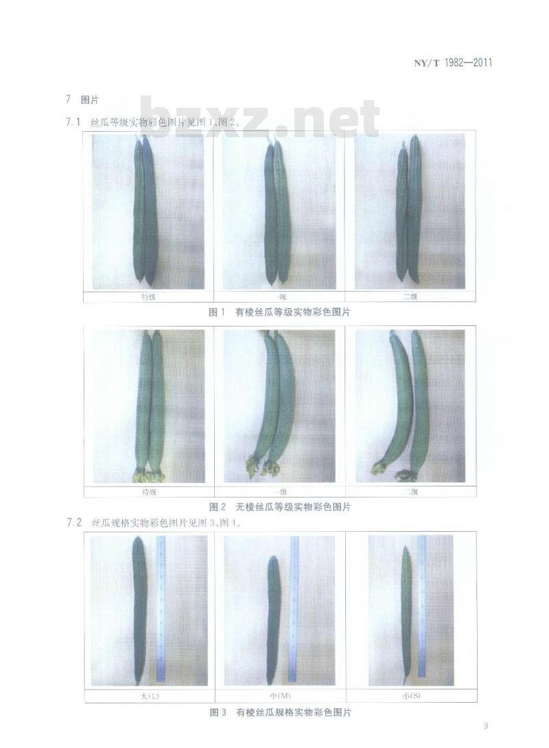 NY/T 1982-2011 丝瓜等级规格