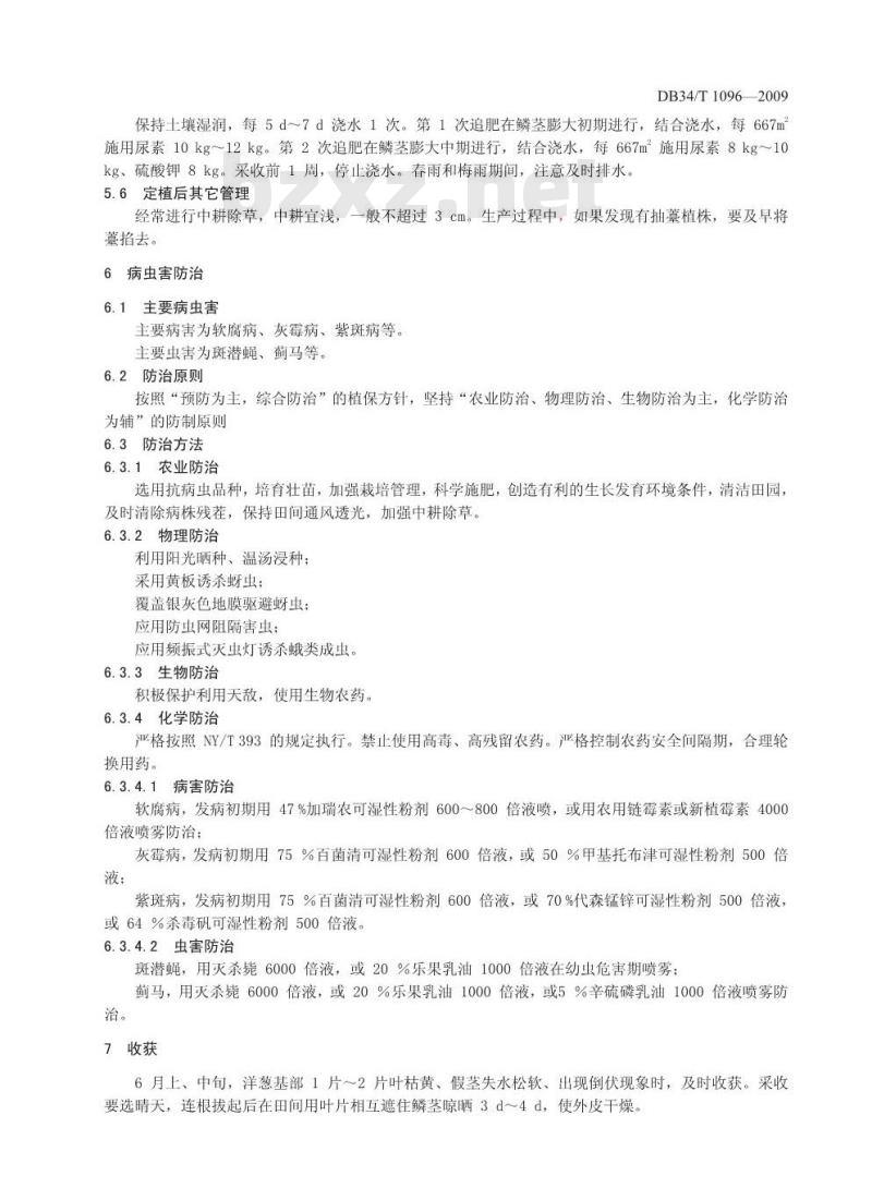 DB34/T 1096-2009 绿色食品(A级)露地洋葱生产技术规程