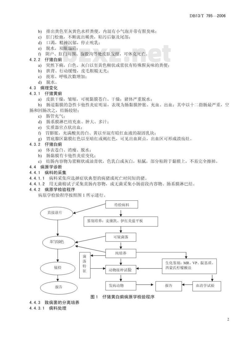 DB13/T 795-2006 仔猪黄白痢病的防治技术规程