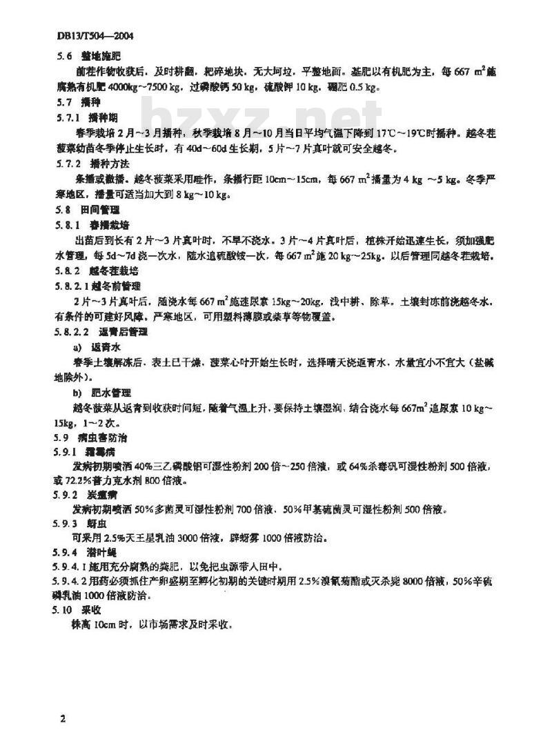 DB13/T 504-2004 无公害菠菜生产技术规程