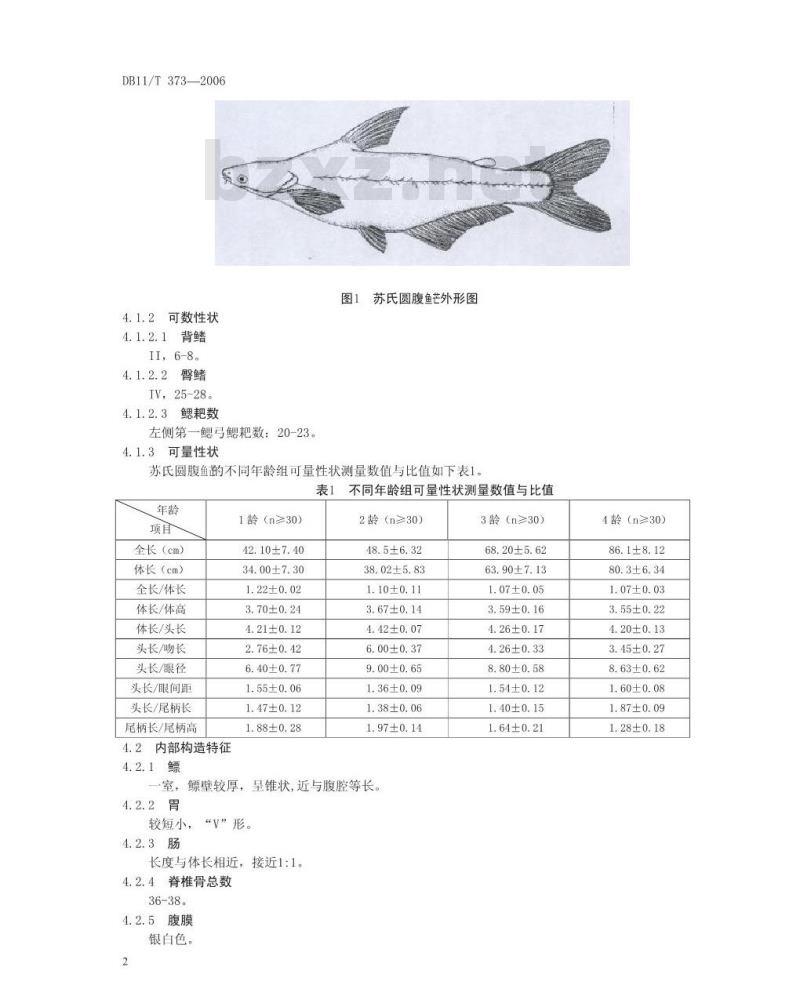 DB 11 T 373-2006 苏氏圆腹鱼芒