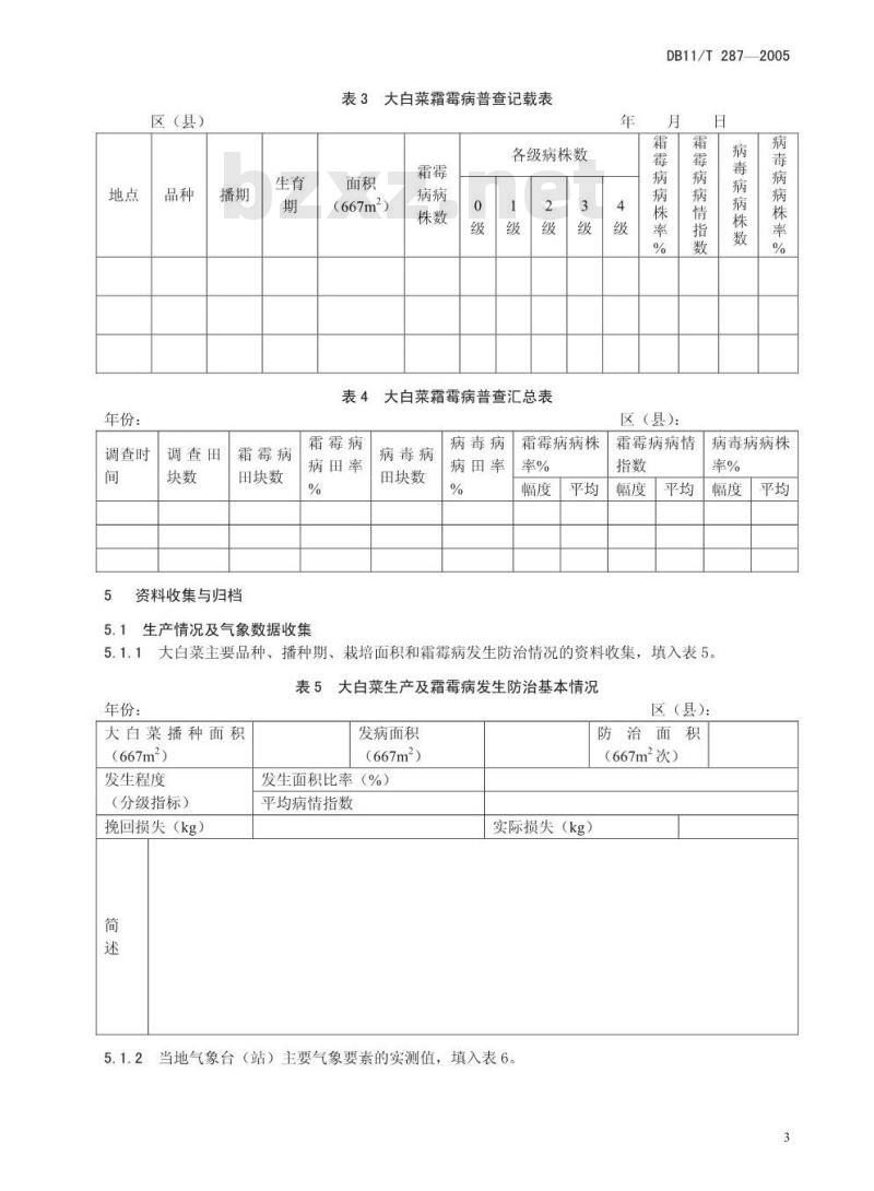 DB 11/T 287-2005 大白菜霜霉病测报调查规范