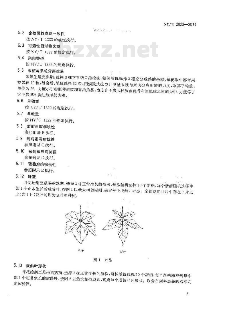 NY/T 2023-2011 农作物优异种质资源评价规范 葡萄