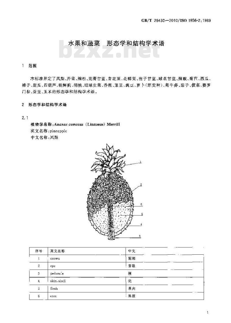 GB/T 26430-2010 水果和蔬菜 形态学和结构学术语