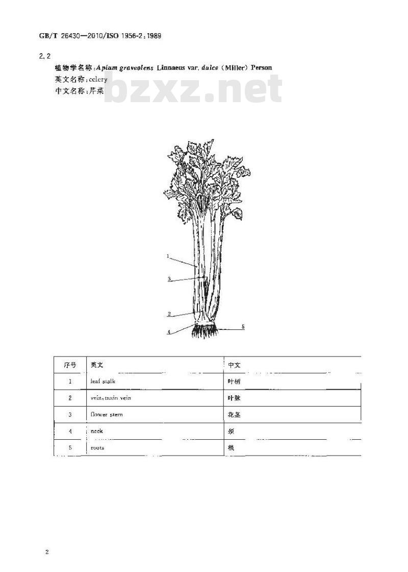 GB/T 26430-2010 水果和蔬菜 形态学和结构学术语