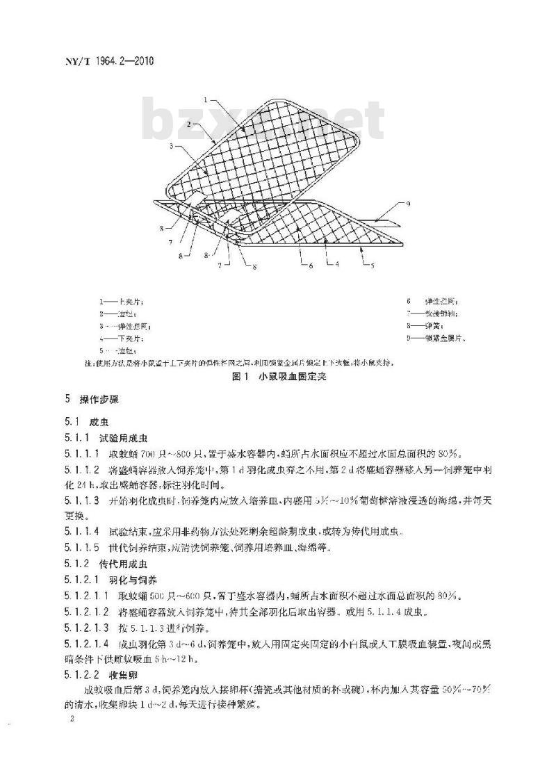 NY/T 1964.2-2010 农药登记用卫生杀虫剂室内试验试虫养殖方法 第2部分：淡色