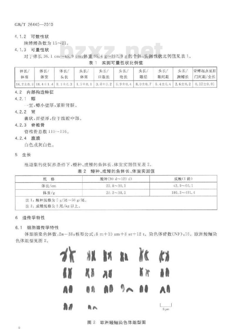GB/T 26440-2010 欧洲鳗鲡