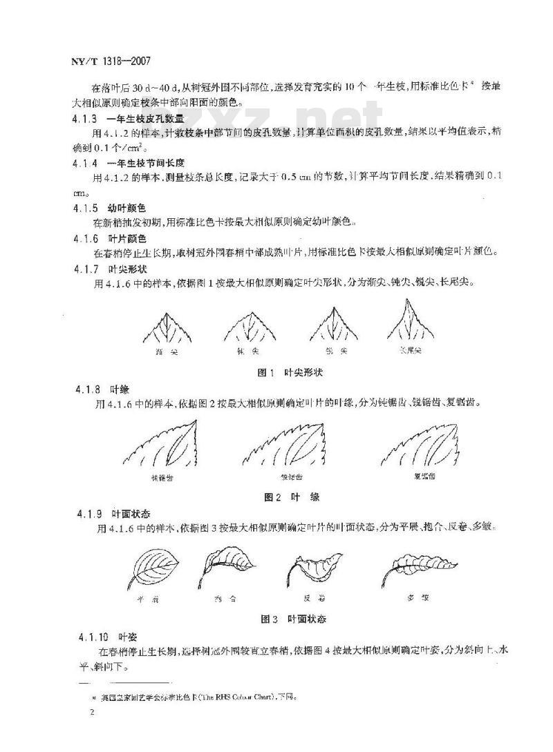 NY/T 1318-2007 农作物种质资源鉴定技术规程 苹果